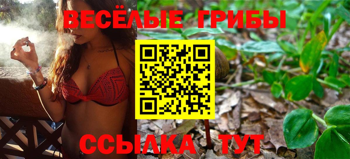 Псилоцибиновые грибы Magic Shrooms Пушкино