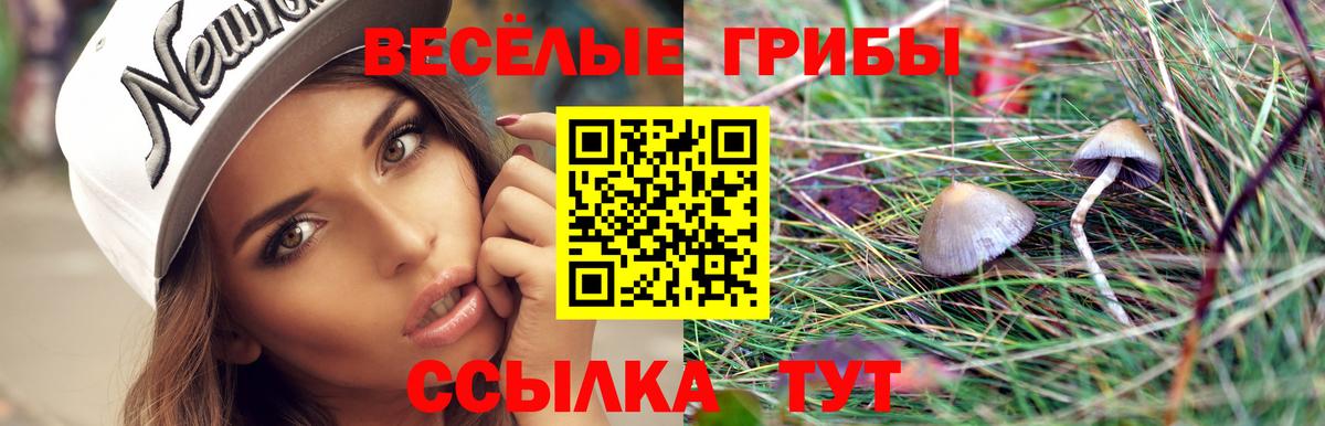 Псилоцибиновые грибы мухоморы  Вход с VPN  Галлюциногенные грибы ЛСД  Пушкино 